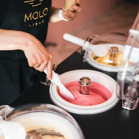 Molo Lipno 4* 리프노나드비타보브
