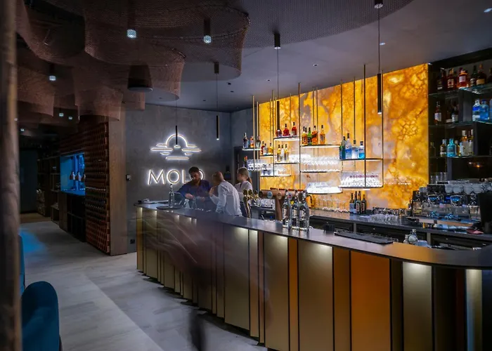 Molo Lipno 아파트호텔 리프노나드비타보브